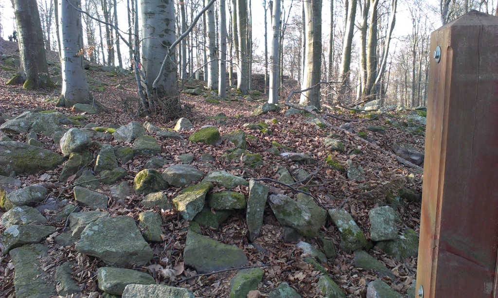 IMAG0029