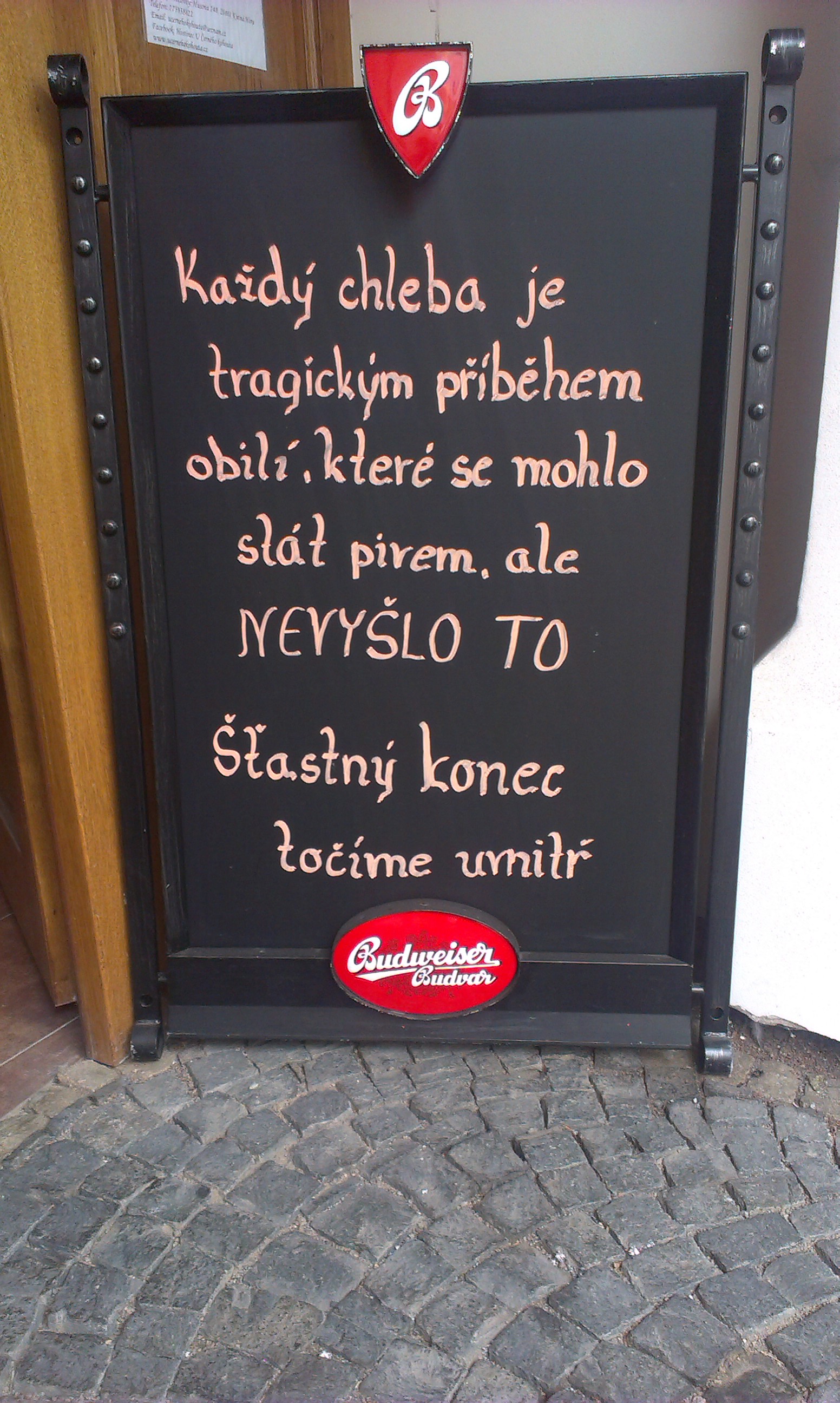 IMAG0558