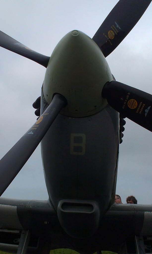 IMAG0750